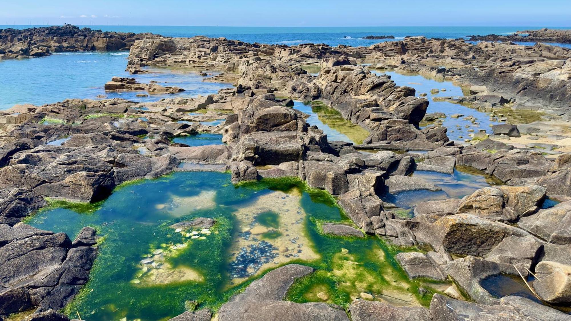 Hotel L'Albatros Le Pouliguen Dış mekan fotoğraf